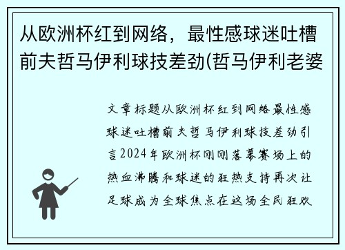 从欧洲杯红到网络，最性感球迷吐槽前夫哲马伊利球技差劲(哲马伊利老婆)